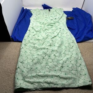Adrianna Papell Mint Green Floral Lace Dress Sz 8 Sleeveless Cocktail Party NWT
